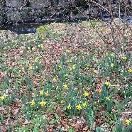 Alpstuga La Des Ecureuils