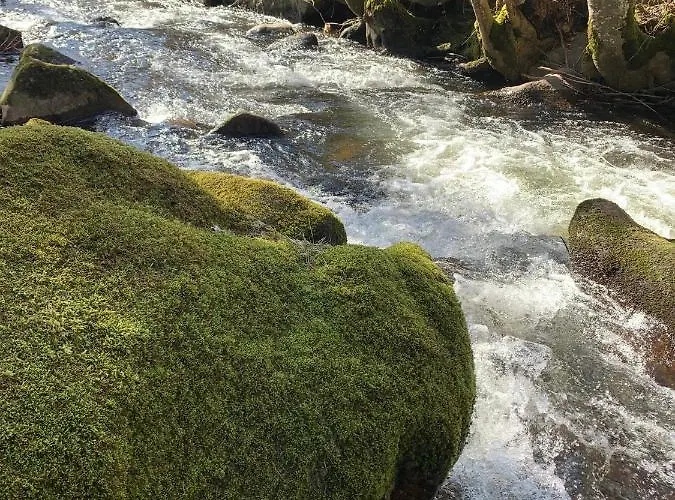 La Des Ecureuils Alpesi faház