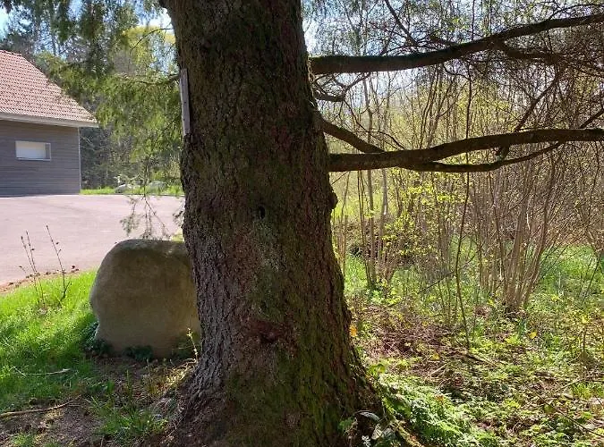 La Des Ecureuils * Xonrupt-Longemer