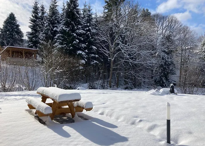 La Des Ecureuils * Xonrupt-Longemer