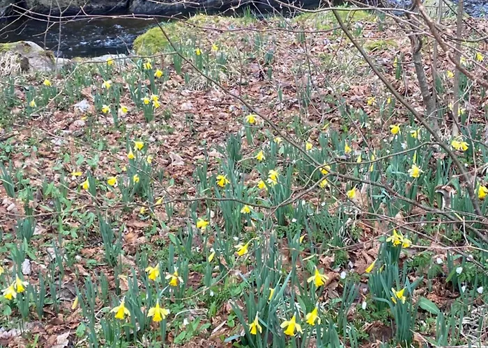Alpesi faház La Des Ecureuils